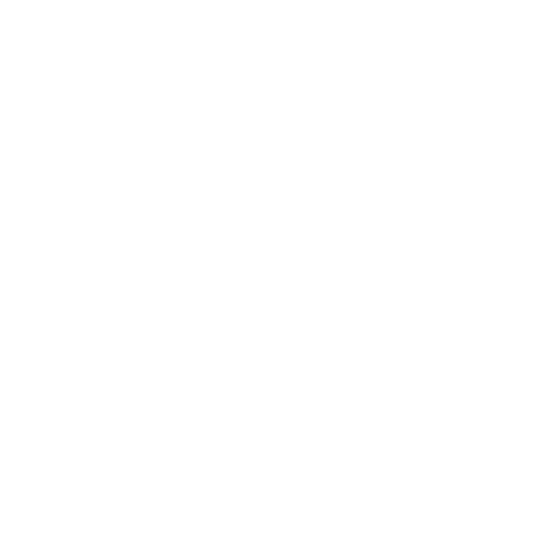 AeroUnion